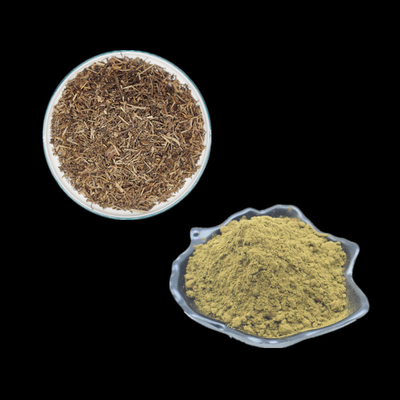 2% 10% 20% 40% Turkesterone Extract Powder อาหารเสริม Ajuga Turkestanica