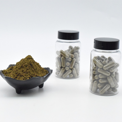 ราคาที่ดีที่สุด Ajuga Turkestanica Extract Pure Turkesterone 2% 10% Turkesterone Powder
