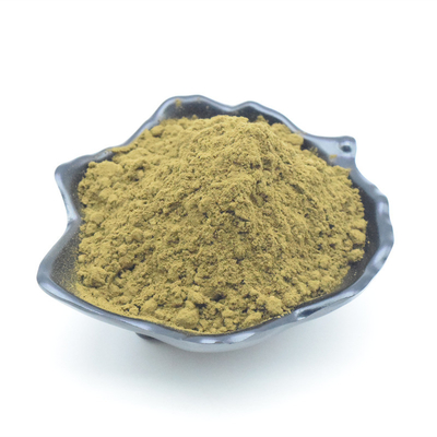 ราคาที่ดีที่สุด Ajuga Turkestanica Extract Pure Turkesterone 2% 10% Turkesterone Powder