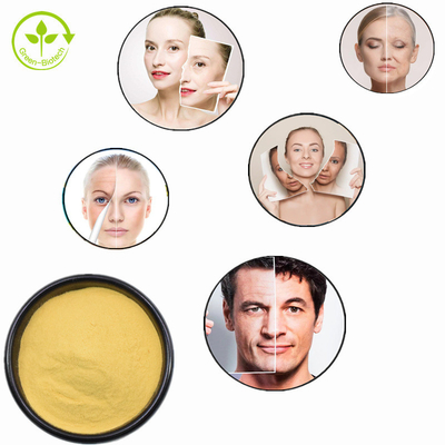 โรงงานจัดหา Spermidine Trihydrochloride CAS 334-50-9 Spermidine Powder