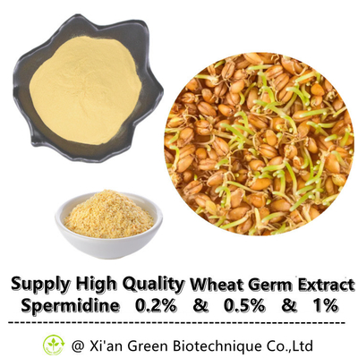 ขายส่งอาหารเสริมธรรมชาติสารสกัดจากจมูกข้าวสาลี Spermidine Powder 0.2% 0.5% 1%