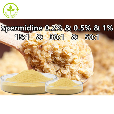 สารสกัดจากจมูกข้าวสาลี Spermine Powder ผลิตภัณฑ์เสริมอาหาร Spermidine 0.1% 0.5% 1%