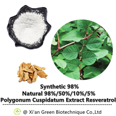 99% Trans-Resveratrol Powder Polygonum Cuspidatum Root Extract
