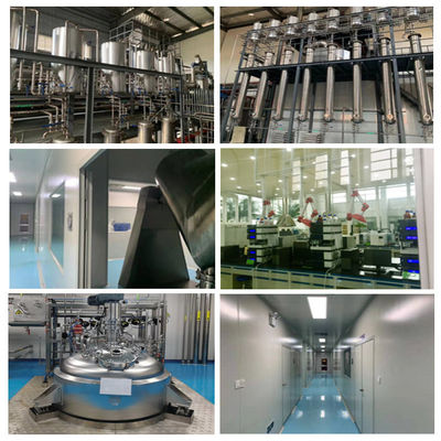 1% - 10% ผงสกัดจากพืช Tongkat Ali Capsules สำหรับความต้องการทางเพศ