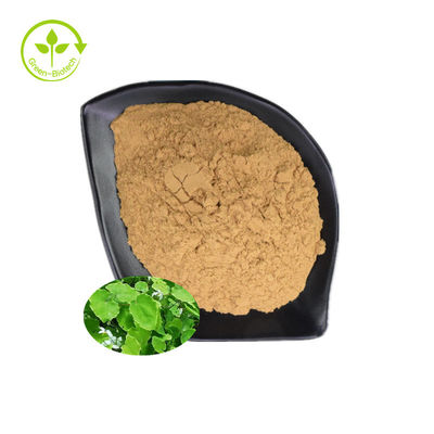 Healthy Care Epimedium Extract 10% 20% 98% ผงอิคาริอิน