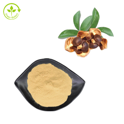 60% Tea Saponin Camellia Japonica Seed Extract Powder สำหรับอาหารเสริม