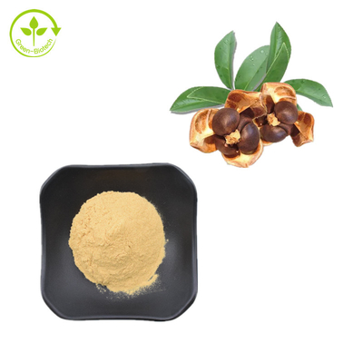 CAS 8047-15-2 สารสกัดจากพืชธรรมชาติ 80% Tea Seed Saponin Powder