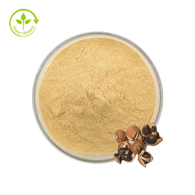 Natural Camellia Sinensis Seed Extract 98% Tea Saponin สำหรับอาหาร