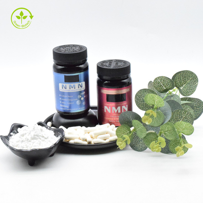 Anti Aging Pure Nicotinamide Mononucleotide Powder สำหรับอาหารเสริม