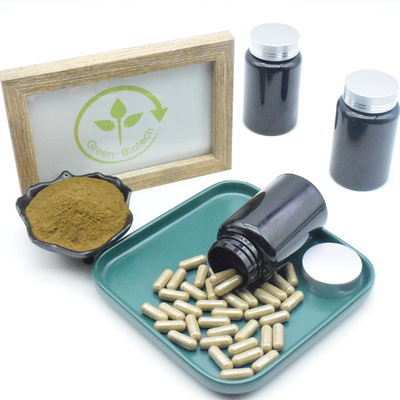 อาหารเสริมสารสกัดจาก Ajuga Turkestanica บริสุทธิ์ 10% 40% 500 มก. แคปซูล Turkesterone