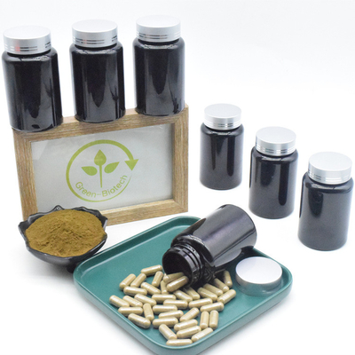 Ajuga Turkestanica Extract 500mg 10% Turkesterone Capsules สำหรับอาหารเสริมกล้ามเนื้อ