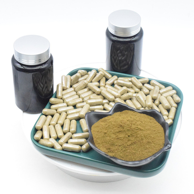 Ajuga Turkestanica Extract Turkesterone Capsules สำหรับการเพาะกาย