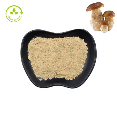Natural Penny Bun Porcini Mushroom Extract ผงเห็ดชนิดหนึ่งบริสุทธิ์ 99%
