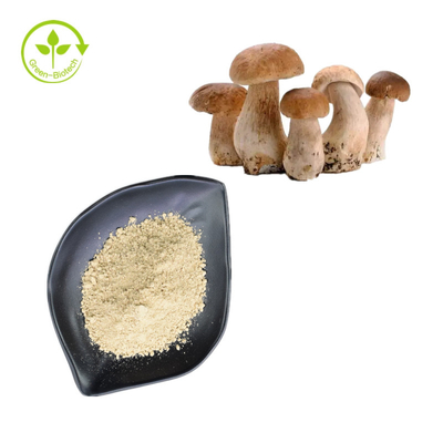 Natural Penny Bun Porcini Mushroom Extract ผงเห็ดชนิดหนึ่งบริสุทธิ์ 99%