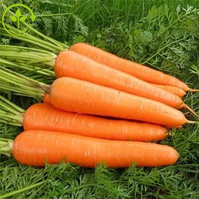 วัตถุเจือปนอาหารสีหมักผงเบต้าแคโรทีน 10%