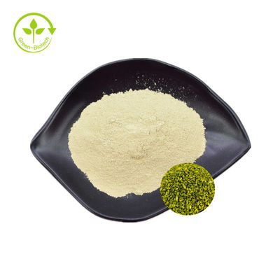 โรงงานซัพพลาย sophora japonica สกัด Rutin 95% Sophora Japonica Extract Rutin Powder