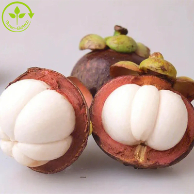 สารสกัดจากมังคุดธรรมชาติบริสุทธิ์ Mangosteen p.e-alpha-mangostin 10%-90% Alpha Mangostin extract powder
