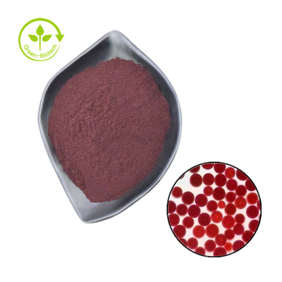 จีน / สหรัฐอเมริกา / แคนาดา / เยอรมนี / เนเธอร์แลนด์คลังสินค้าซัพพลาย 2% 5% ผงแอสตาแซนธินบริสุทธิ์สีแดง