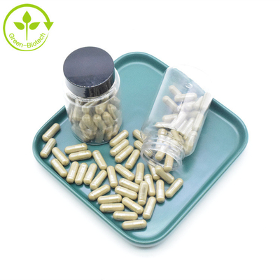อาหารเสริมสารสกัดจาก Ajuga Turkestanica บริสุทธิ์ 2% 10% 40% 500 มก. แคปซูล Turkesterone