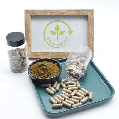 อาหารเสริมสารสกัดจาก Ajuga Turkestanica บริสุทธิ์ 2% 10% 40% 500 มก. แคปซูล Turkesterone