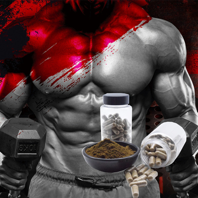 OEM เสริม Ajuga Turkestanica Turkesterone ฉลากส่วนตัว 10% 20% Turkesterone Extract Turkesterone Capsuels