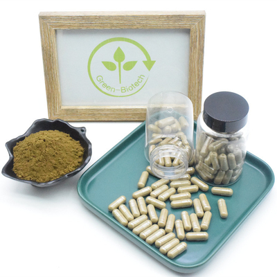 Turkesterone Capsule Natural Ajuga Turkestanica Extract Capsule สำหรับอาหารเสริม