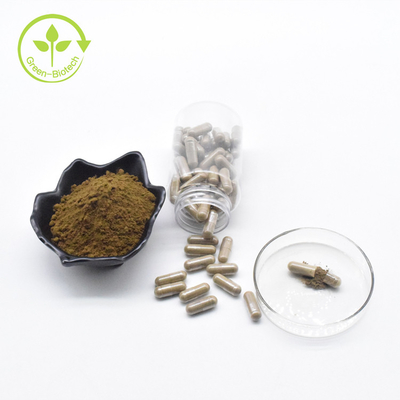 โรงงานขายส่ง Turkesterone บริสุทธิ์ 40% ผงฉลากส่วนตัว Ajuga Turkesterone Capsules 500 มก.