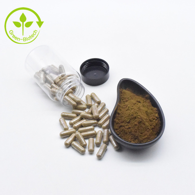 สารสกัดจากพืช Ajuga Turkestanica Extract Powder 10% 500mg/60caps/ขวด Turkesterone Capsules