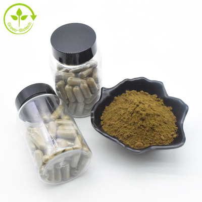 สารสกัดจากพืช Ajuga Turkestanica Extract Powder 10% 500mg/60caps/ขวด Turkesterone Capsules