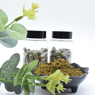 Ajuga Turkestanica Extract Powder 2% ซื้อ Turkesterone
