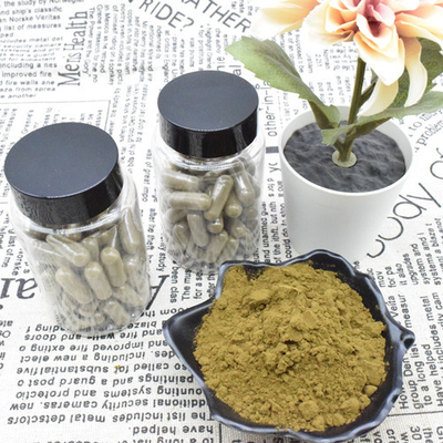 ขายส่งจำนวนมาก 100% บริสุทธิ์ 2% 10% Ajuga Turkestanica Extract Powder Turkesterone Powder