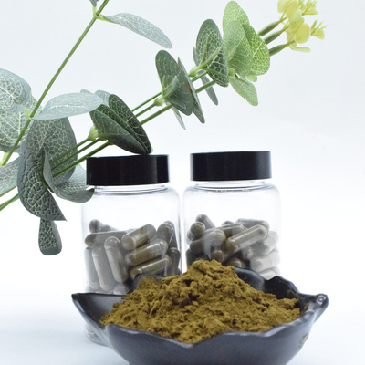 ขายส่งจำนวนมาก 100% บริสุทธิ์ 2% 10% Ajuga Turkestanica Extract Powder Turkesterone Powder