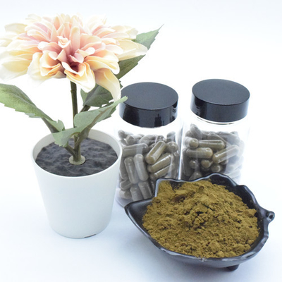 เสริมผงสารสกัด Ajuga Turkestanica บริสุทธิ์ 40% 500 มก. แคปซูล Turkesterone
