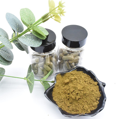 สารสกัดจากสมุนไพร Ajuga Turkestanica Extract Turkesterone Powder