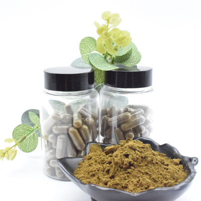 สารสกัดจากสมุนไพร Ajuga Turkestanica Extract Turkesterone Powder