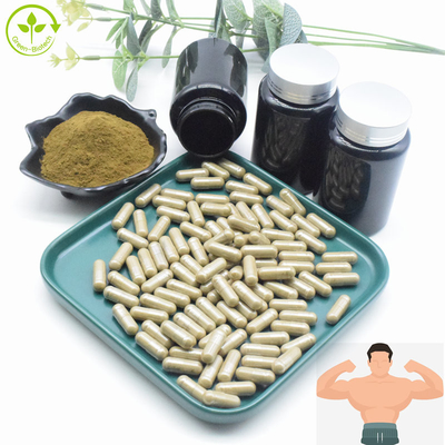 Ajuga Turkestanica Extract ขายส่งจำนวนมาก 2% 10% CAS 41451-87-0 Turkesterone Extract Turkesterone Powder