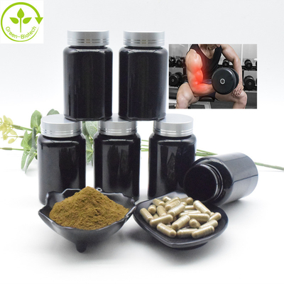 Ajuga Turkestanica Extract ขายส่งจำนวนมาก 2% 10% CAS 41451-87-0 Turkesterone Extract Turkesterone Powder