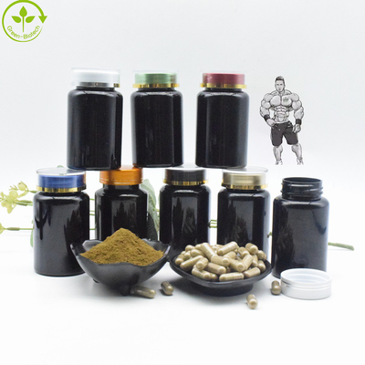 ผงสารสกัดจาก Ajuga Turkestanica อินทรีย์ธรรมชาติ 10% Turkesterone Capsules