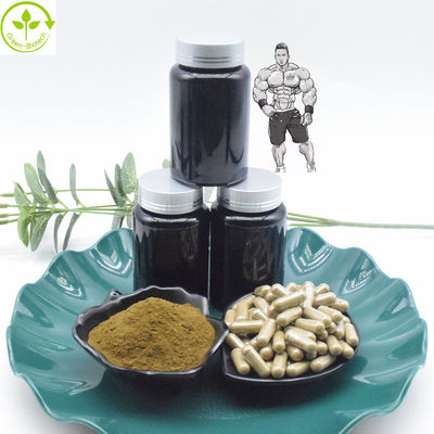 บริสุทธิ์ 10% 40% Turkesterone Extract Powder 800mg 1000mg Turkesterone Capsules