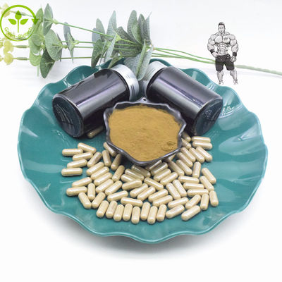 บริสุทธิ์ 10% 40% Turkesterone Extract Powder 800mg 1000mg Turkesterone Capsules