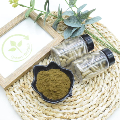 ผลิตภัณฑ์เสริมอาหาร Ajuga Turkestanica Extract 10% 20% Turkesterone Powder