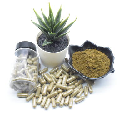 โรงงานจัดหาสารสกัดจากพืชผงละเอียดสีน้ำตาลที่ละลายน้ำได้ Guarana Extract 22%