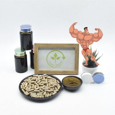 โรงงานผงสกัดจำนวนมาก 1% Turkesterone Extract Powder ความบริสุทธิ์สูงบริสุทธิ์ 2% 10% 20% 40% Turkesterone