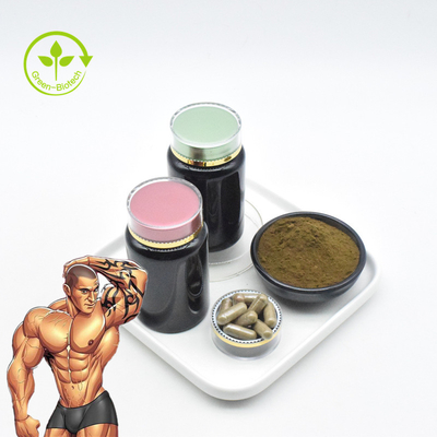 โรงงานผงสกัดจำนวนมาก 1% Turkesterone Extract Powder ความบริสุทธิ์สูงบริสุทธิ์ 2% 10% 20% 40% Turkesterone