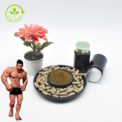 ผง Ajuga Turkesterone คุณภาพสูง 10 Turkesterone Extract Turkesterone