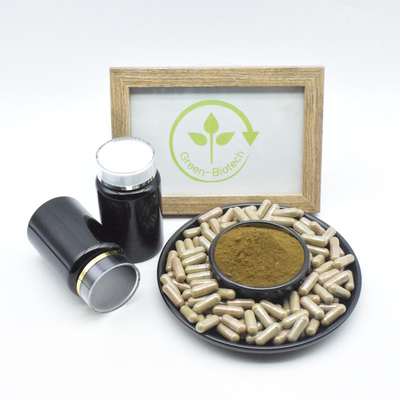 อาหารเสริมเพาะกาย Ajuga Turkestanica Turkesterone Extract Powder 2% 10% 20% 40% Turkesterone