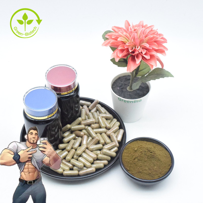 เสริมสารสกัดจาก Ajuga Turkestanica บริสุทธิ์จำนวนมาก 2% ผง Turkesterone 10%