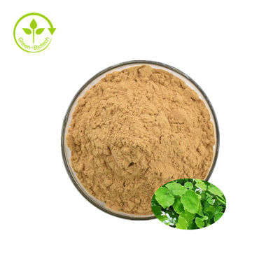 Horny Goat Weed Extract Powder Feed เกรด Epimedium Blend Extract