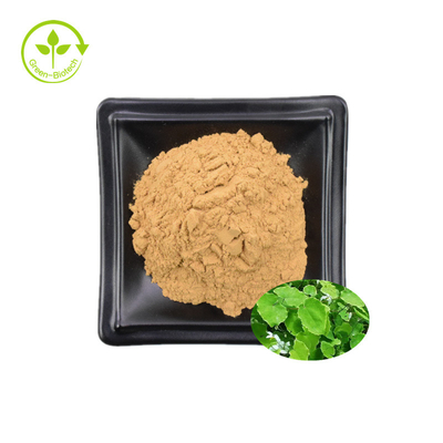 Epimedium Extract 98% Icaritin น้ำผึ้ง Goat Weed Extract 98% Icaritin