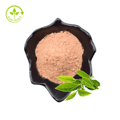 โรงงานจำนวนมากจัดหาสารสกัดจากชาเขียวบริสุทธิ์ Epicatechin Powder 98% Egcg Tea Polyphenol Green Tea Extract